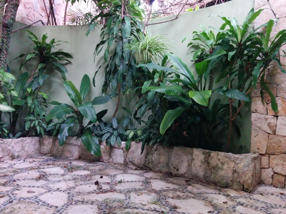 Casa Beard, Spacious Guest House With High Speed Wifi & Pool. Playa del Carmen Exterior foto